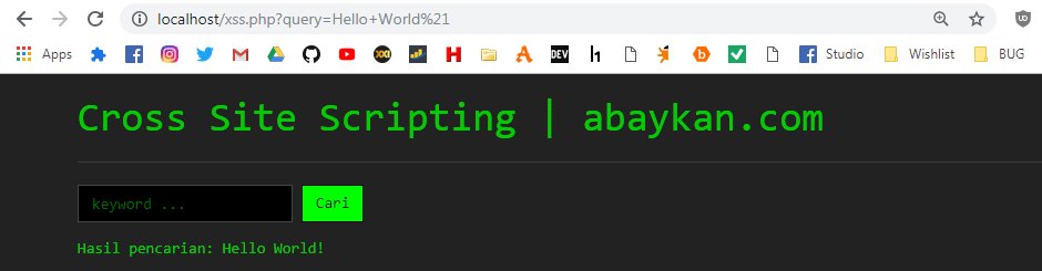 Cross Site Scripting