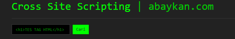 Cross Site Scripting