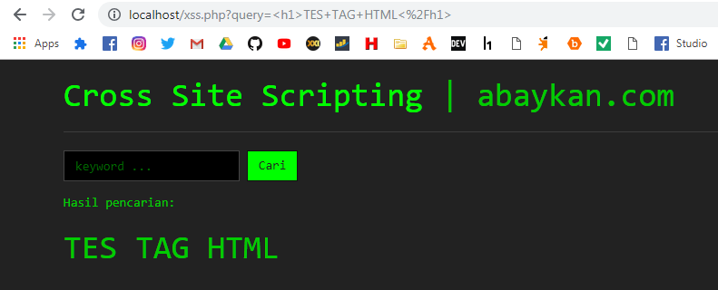 Cross Site Scripting